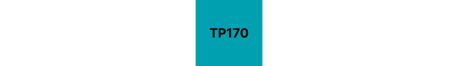 TP170